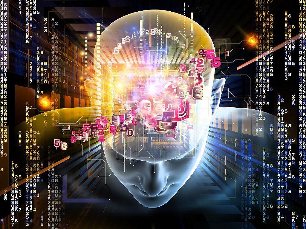 brain