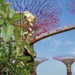 Singapur