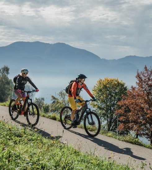 Elektrobicykle
