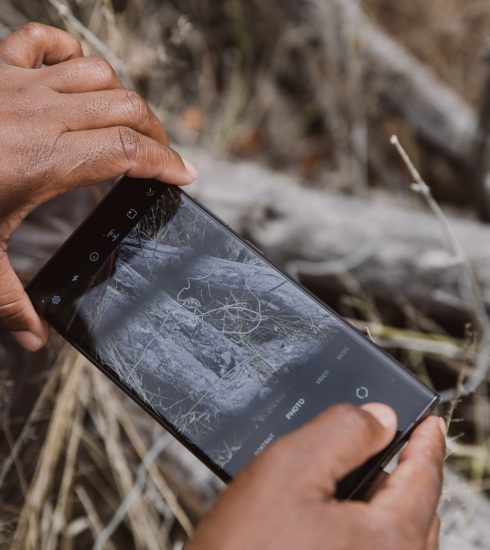 Samsung Wildlife Watch