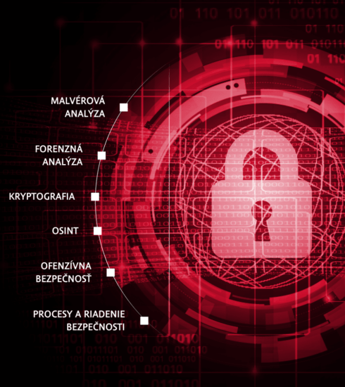 Cybergame 2024