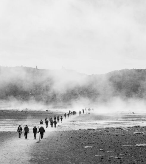 Migrácia