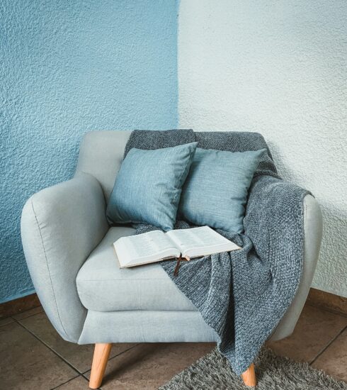 Kreslo, nábytok, bouclé