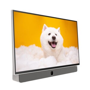 Prenosný televízor METZ 24MPE7000Z