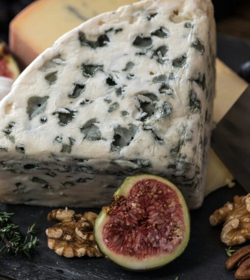 modrý syr Gorgonzola