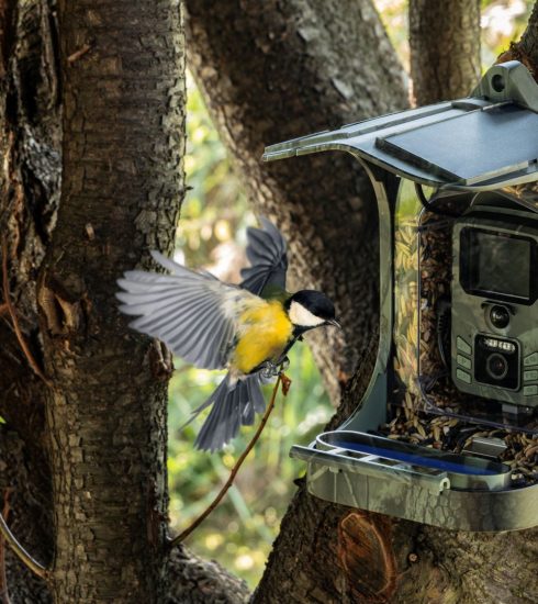 EVOLVEO StrongVision BirdFeeder