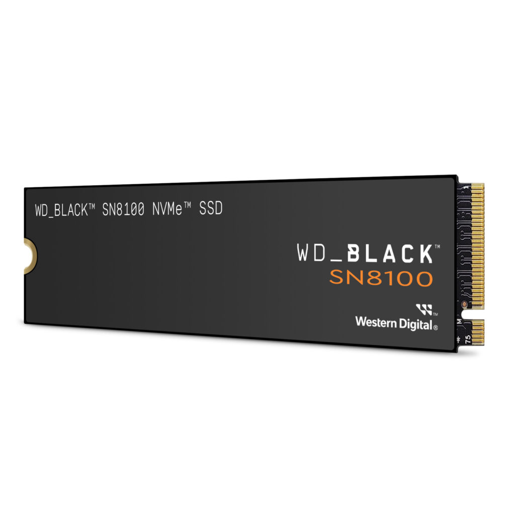 SSD disk SanDisk WesternDigital Black SN8100