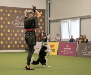 Dogdancing