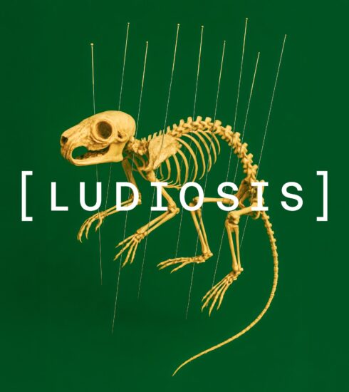Ludiosis