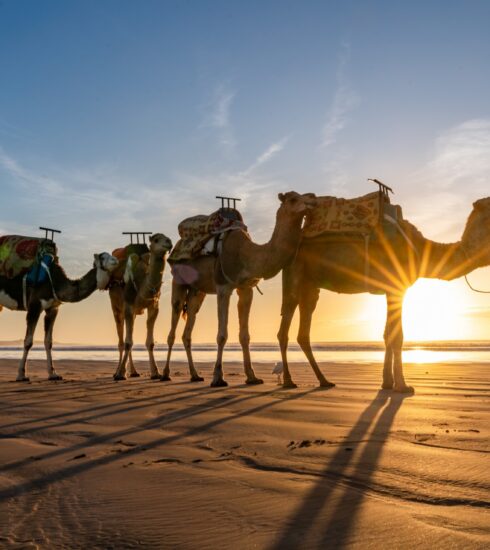 Agadir, Maroko, Wizz Air